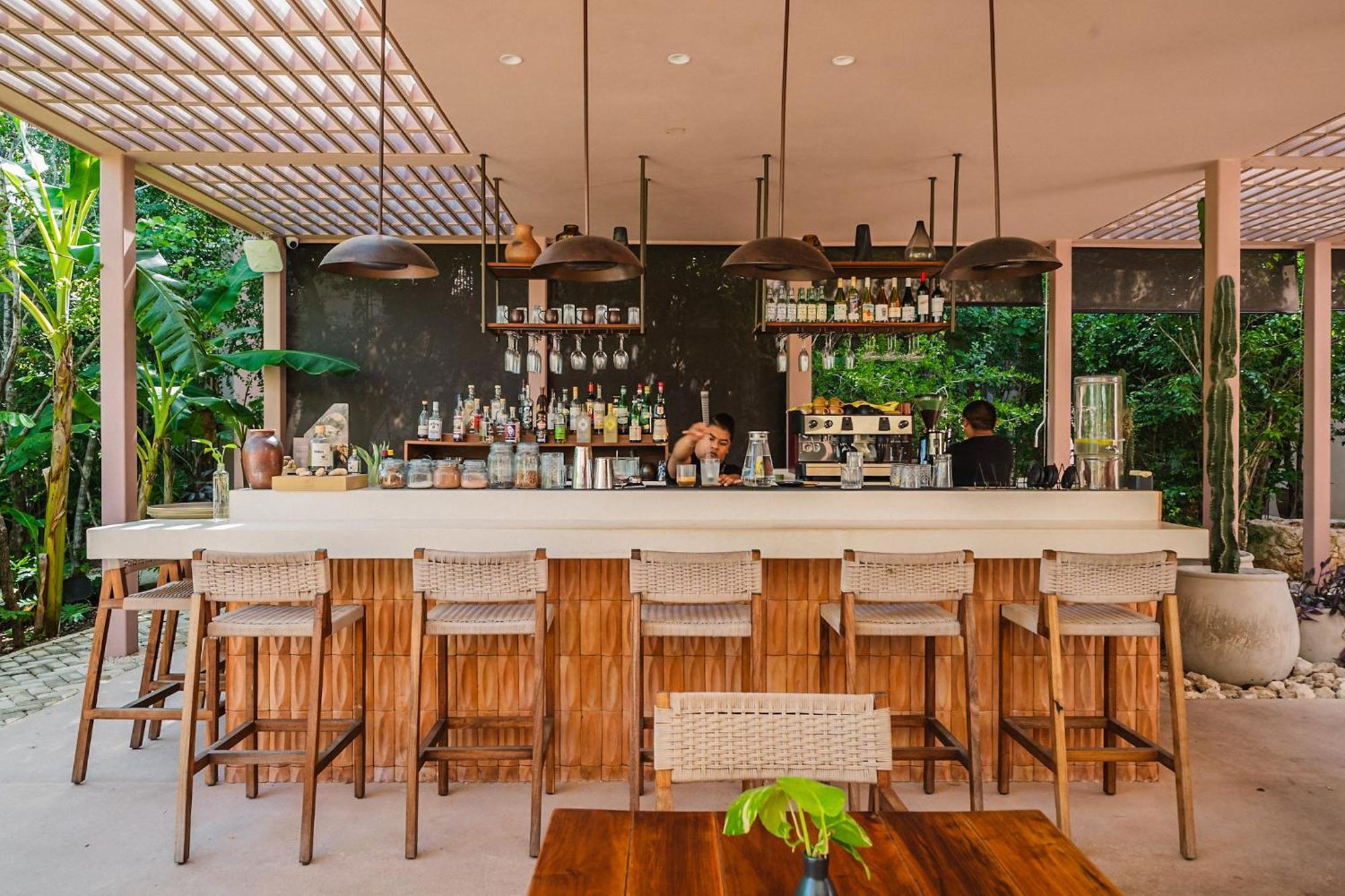 Apartment Divine 2br W Pool Gym Yoga Classes Restaurant Tulum